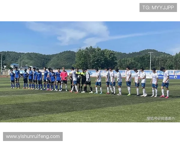 杭州羽毛球队创新盯防策略助力竞技水平提升的深度分析与探讨