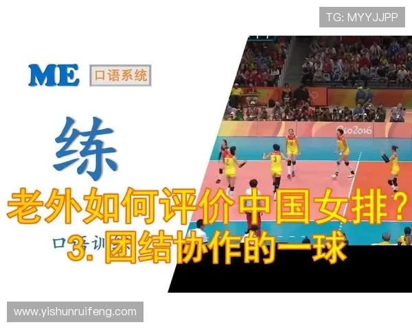 深圳排球队在全国排球团队协作排行榜中荣获第八名的佳绩分析