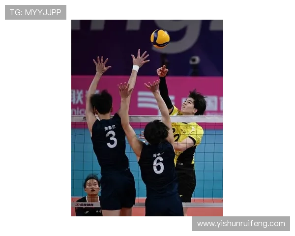 杭州排球队创历史新高排球速度排名再攀高峰