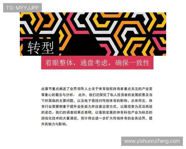 深圳羽毛球队技术探讨:提升竞技水平与战术创新的关键因素分析
