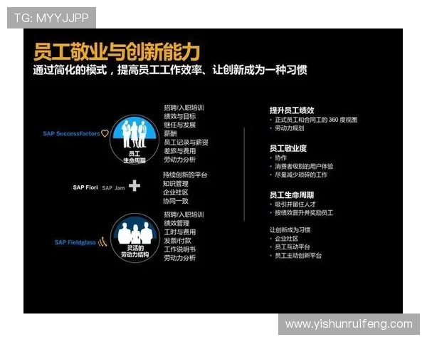 北京羽毛球队防反战术创新探讨与未来发展展望